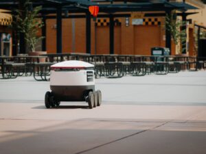 An Analysis of the Prospects for Self-Driving Delivery Robots in Urban Areas